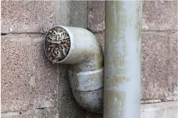 【画像】なぜそこに？