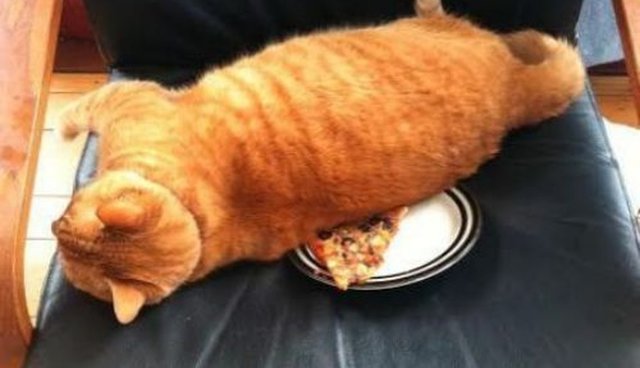 【画像】なぜそこに？