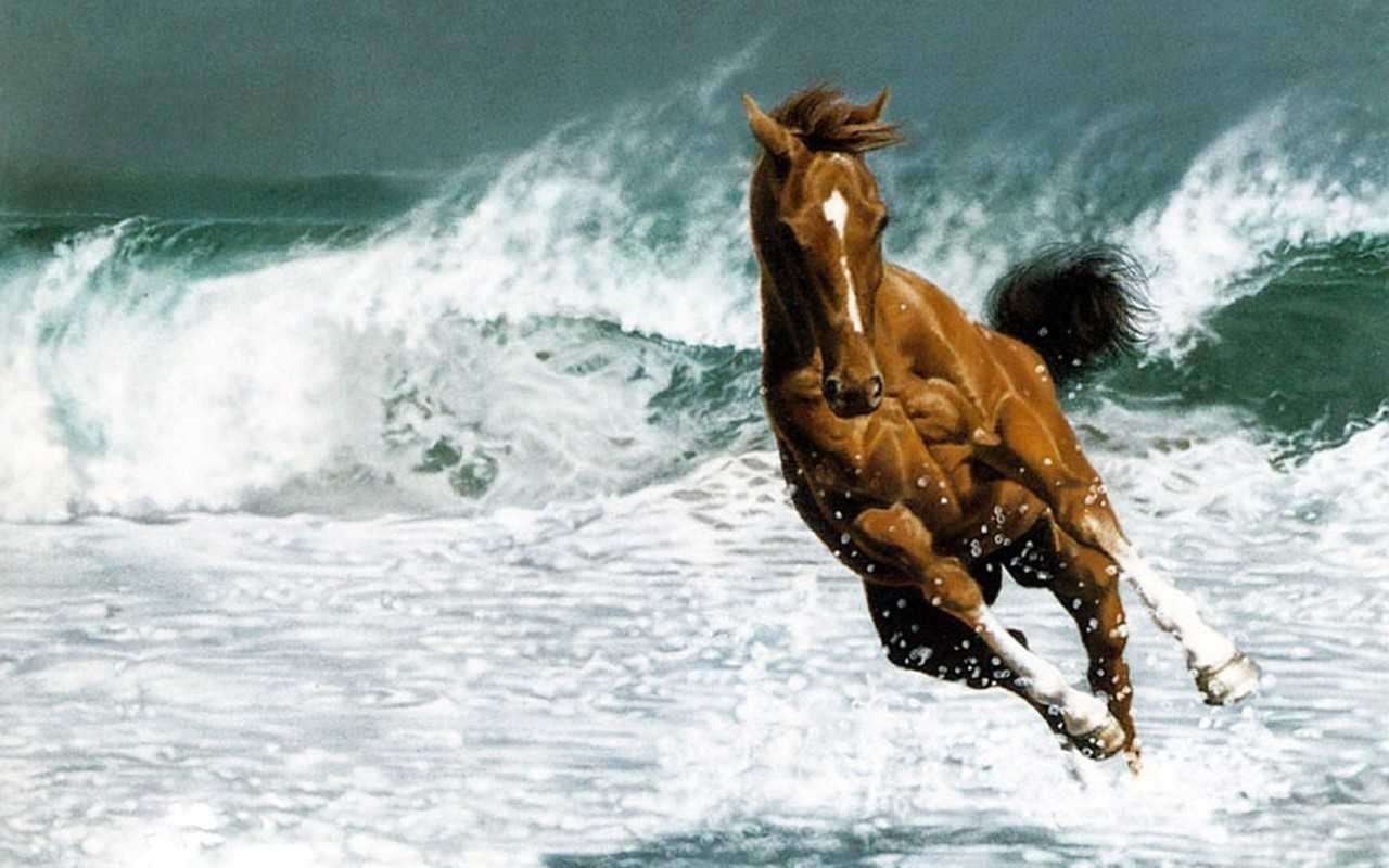 イケメンな動物の画像を集めるトピ