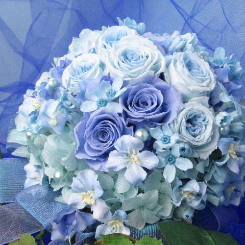 お気に入りのブルーを見せて！