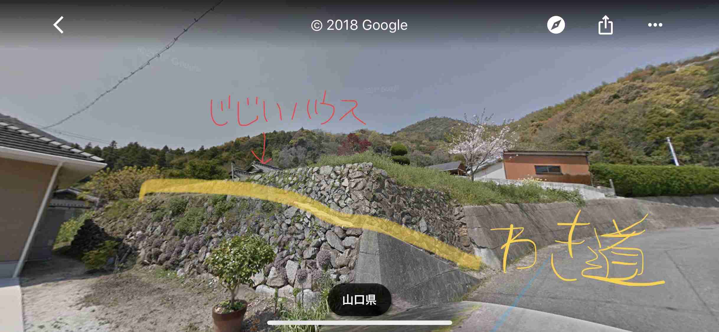 1歳男児が行方不明　海水浴に向かう途中　山口