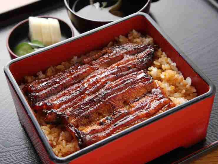 素敵な和食がみたい!!