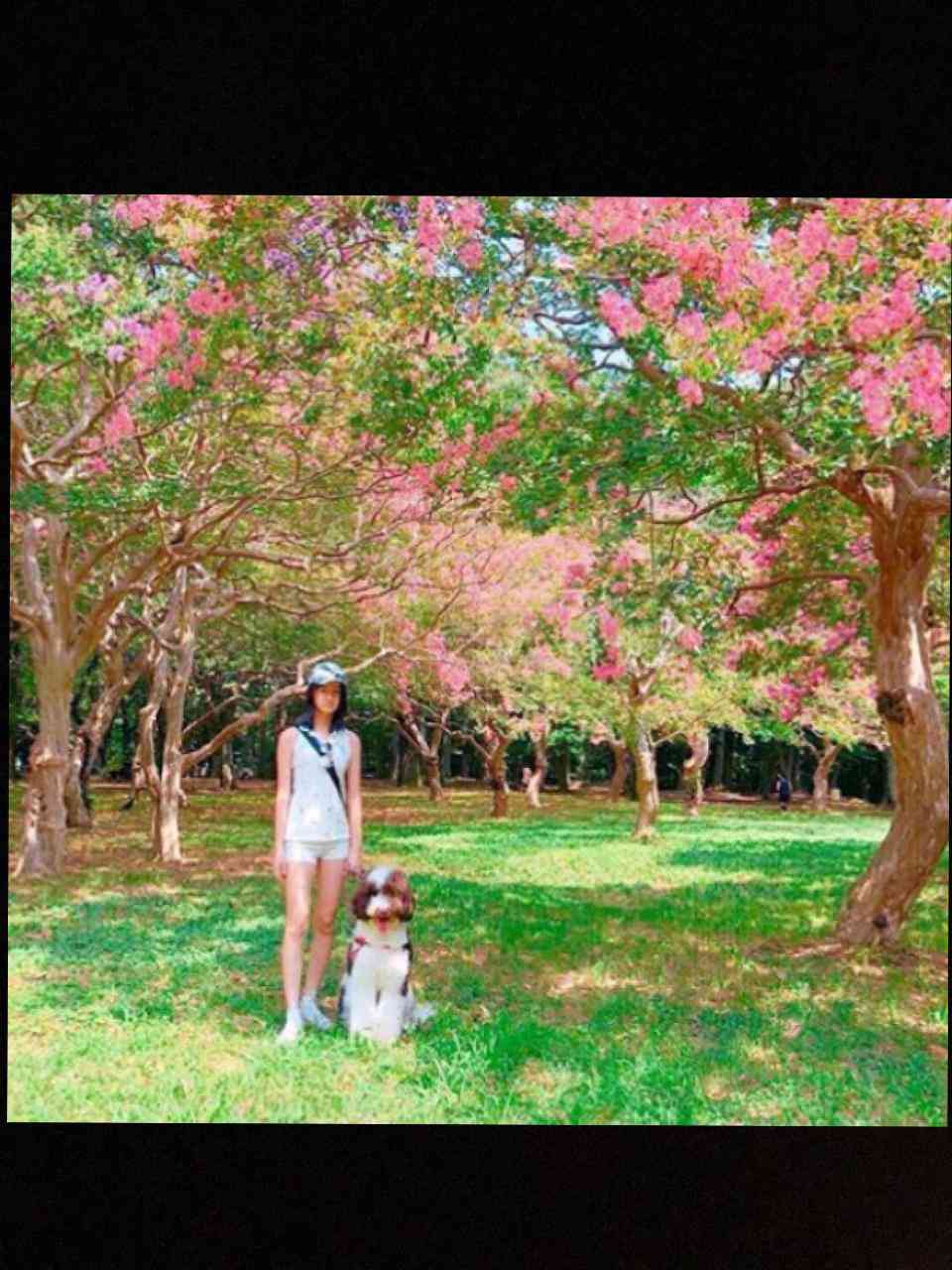 もはや、キムタク&静香はお荷物?Koki,に降りかかった想定外のバッシング