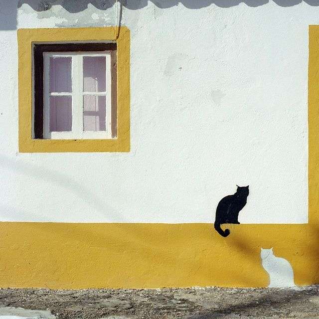 猫の絵を貼るトピ
