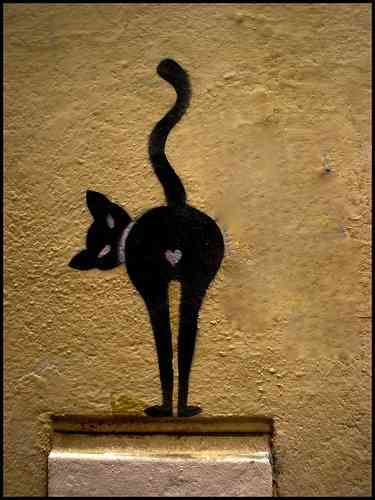 猫の絵を貼るトピ