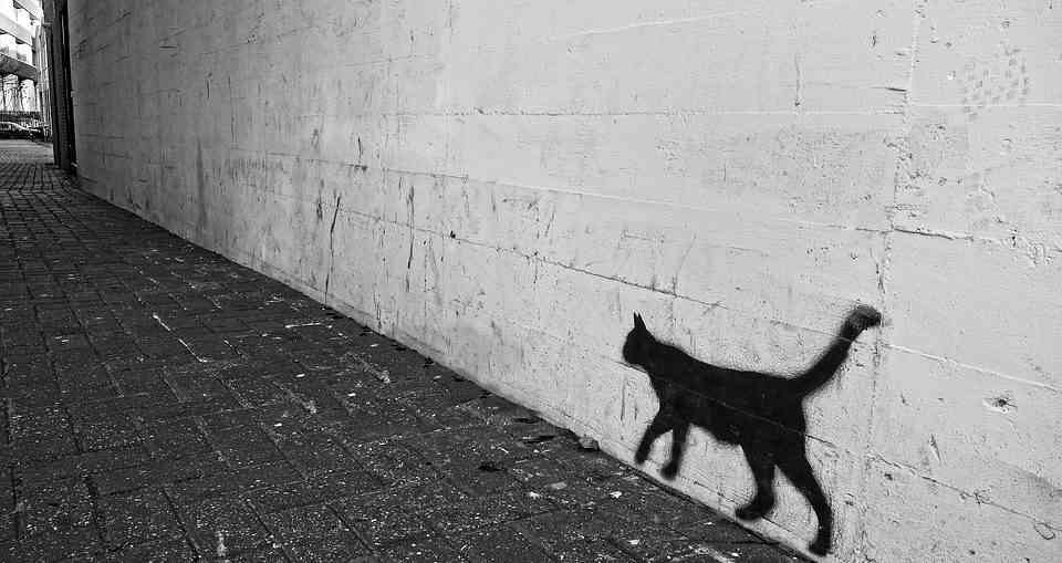 猫の絵を貼るトピ