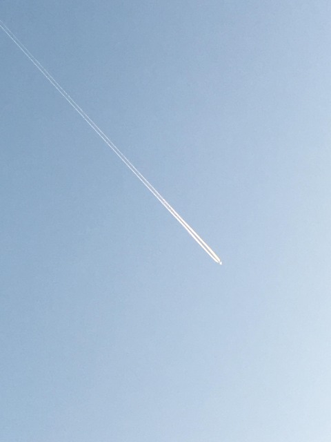 夏の終わりを感じさせる画像を貼っていこう