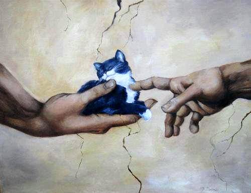 猫の絵を貼るトピ