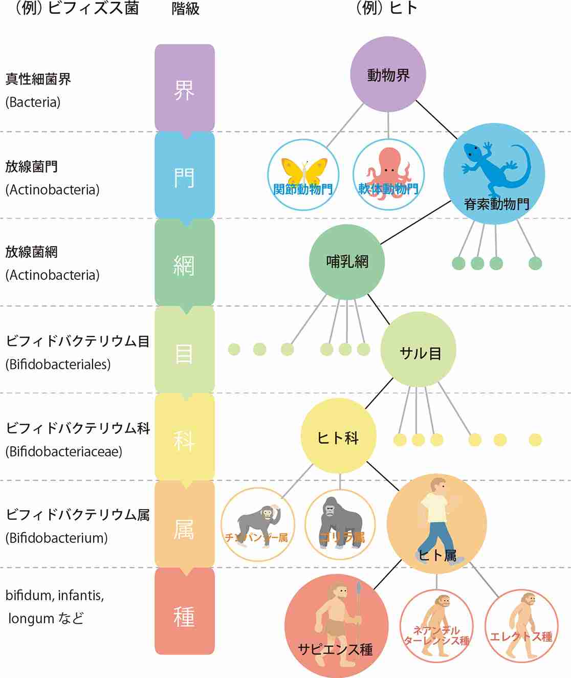 外来種について語ろうよ