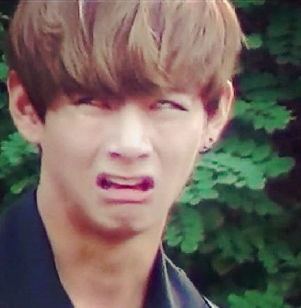 見惚れる画像をください