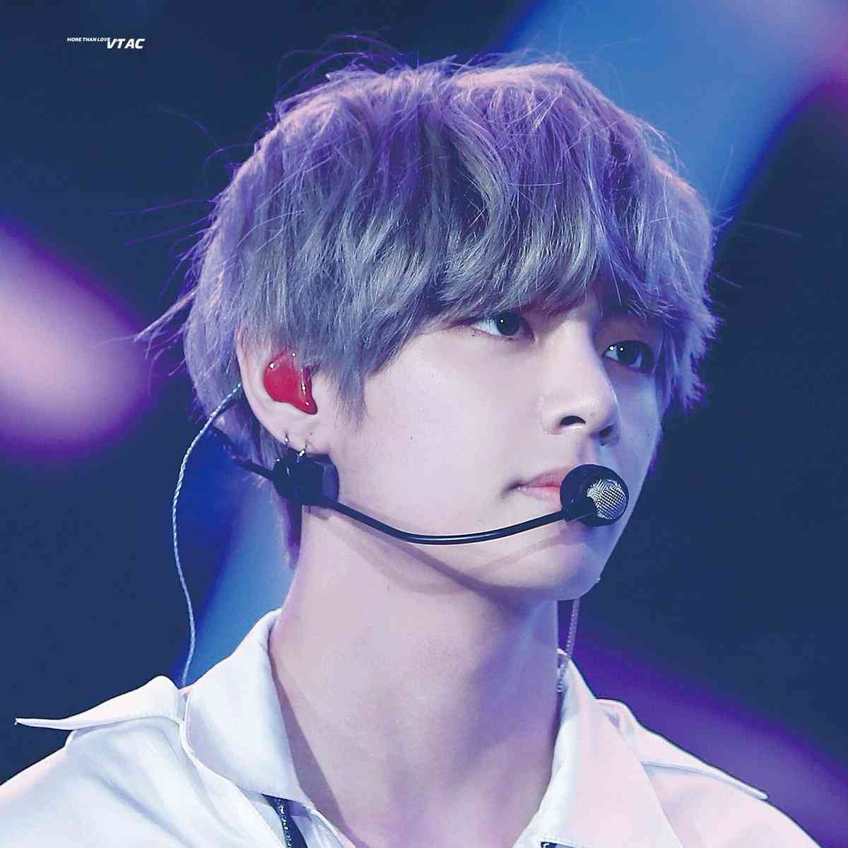 見惚れる画像をください