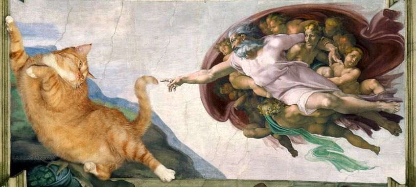 猫の絵を貼るトピ