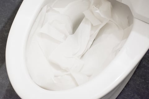 トイレ掃除には何がいい？