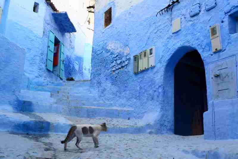 お気に入りのブルーを見せて！