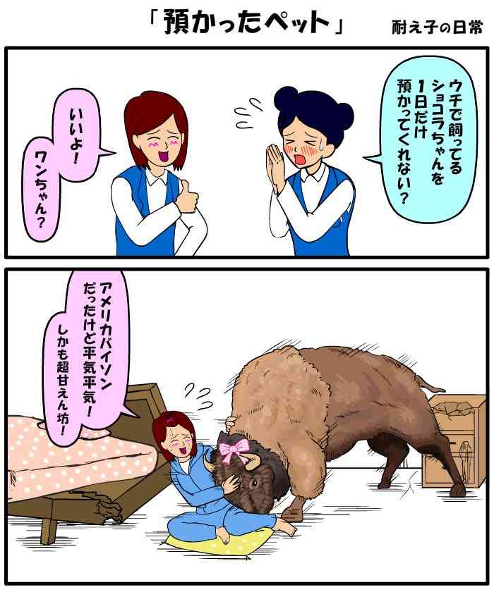 漫画「耐え子の日常」が辛すぎるｗ　OLが落ちていた財布を届けようとしたら？