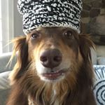 Finn Seyfried (@finnsite) • Instagram photos and videos