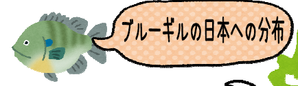 ブルーギルが日本に広まったことについての憶測について、Wikipediaを侮るな - ネットロアをめぐる冒険