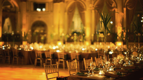 見惚れる画像をください