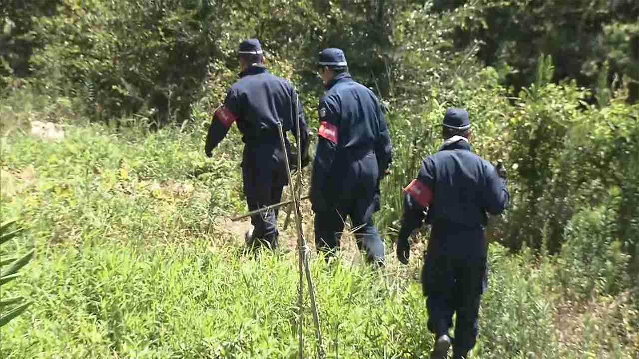山口・周防大島町で行方不明となっていた2歳の男の子を無事発見 - FNN.jpプライムオンライン