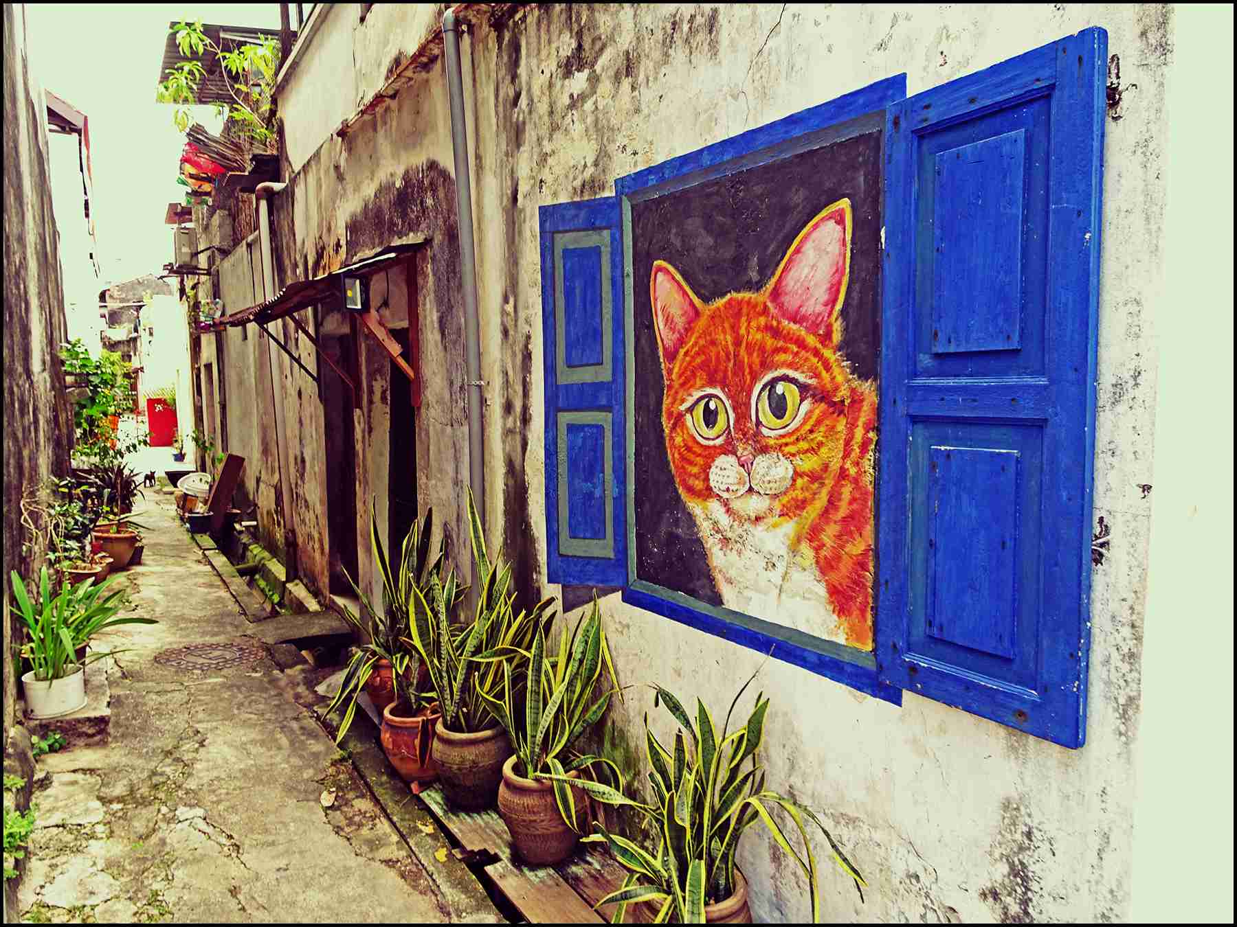猫の絵を貼るトピ