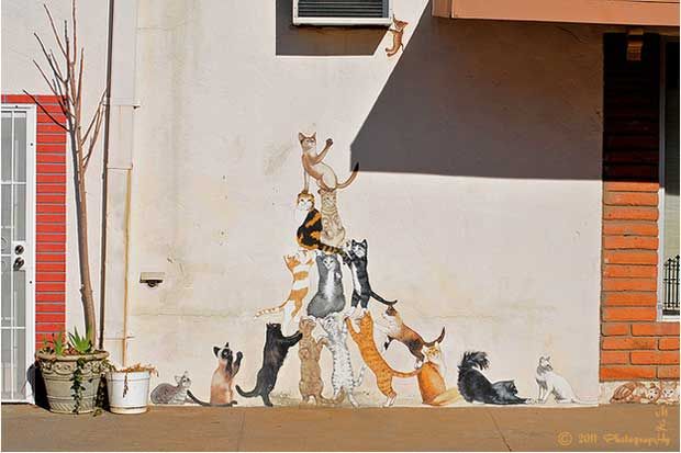 猫の絵を貼るトピ