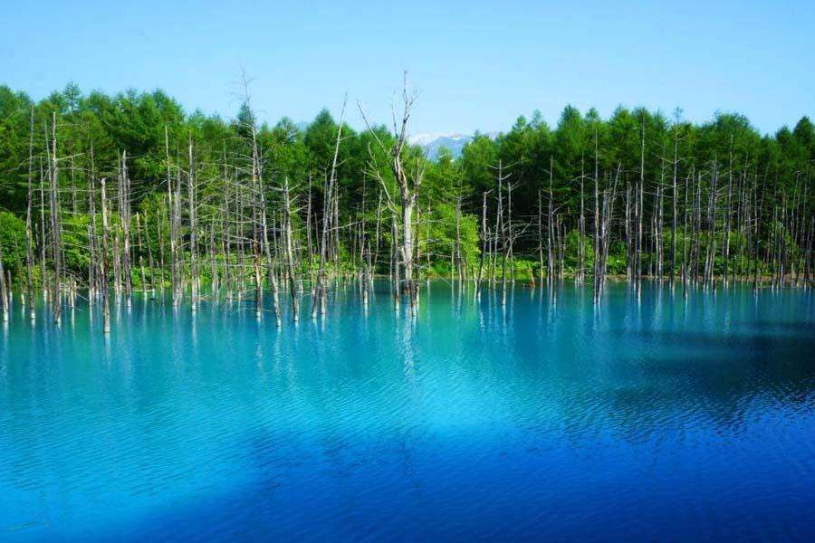 お気に入りのブルーを見せて！