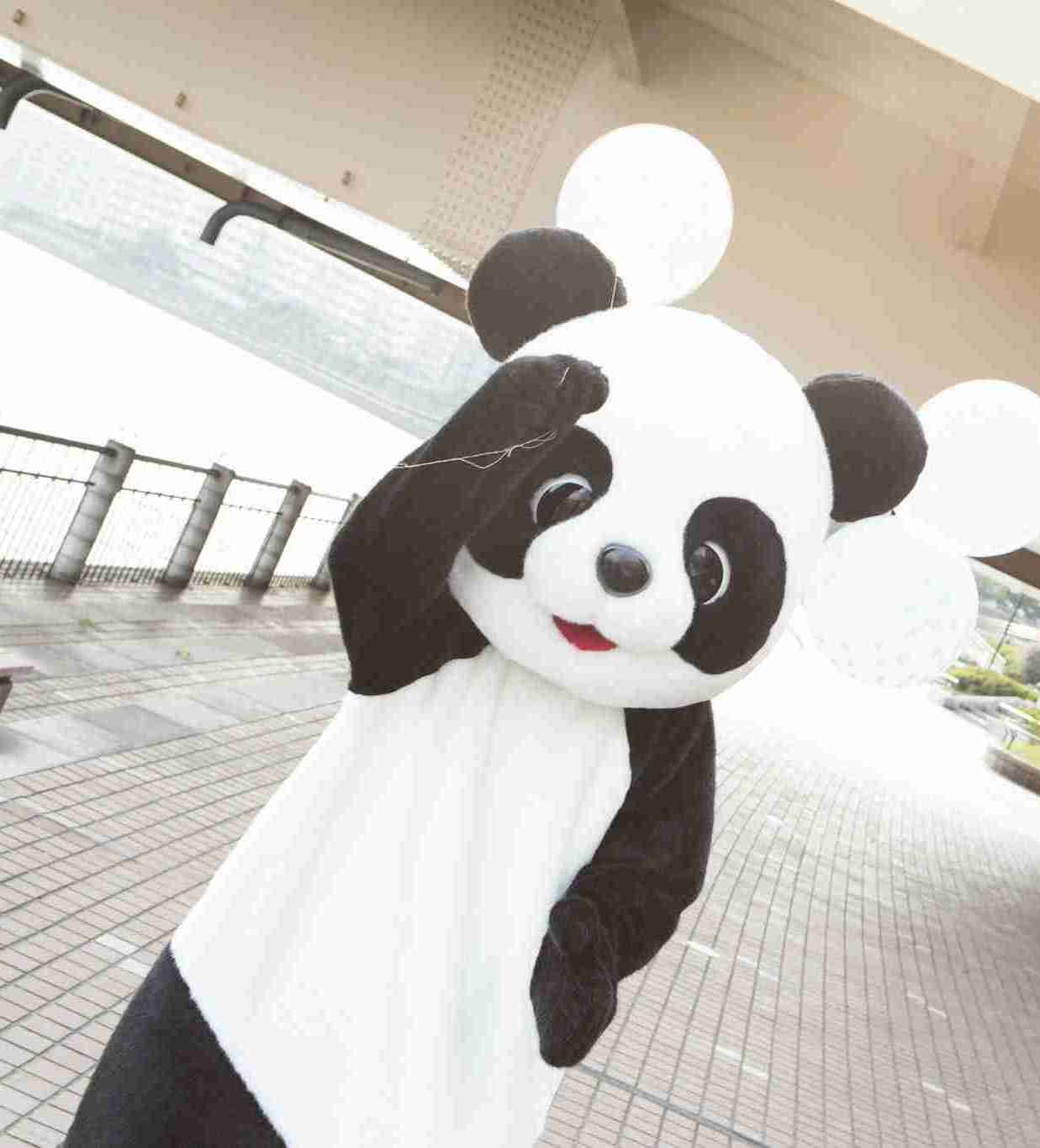 珍しい仕事をしたことある方、いますか？