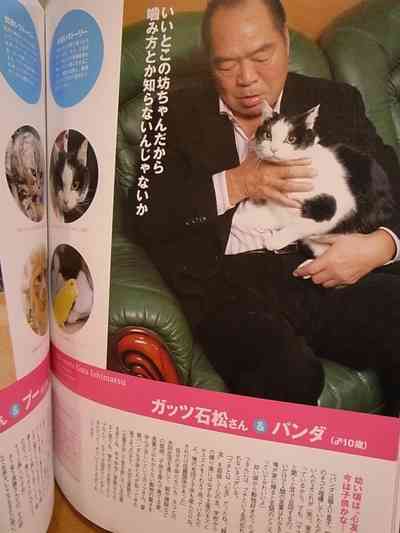 ガッツ石松が愛猫を語る「自分をねこだと思っていない幸せ者」