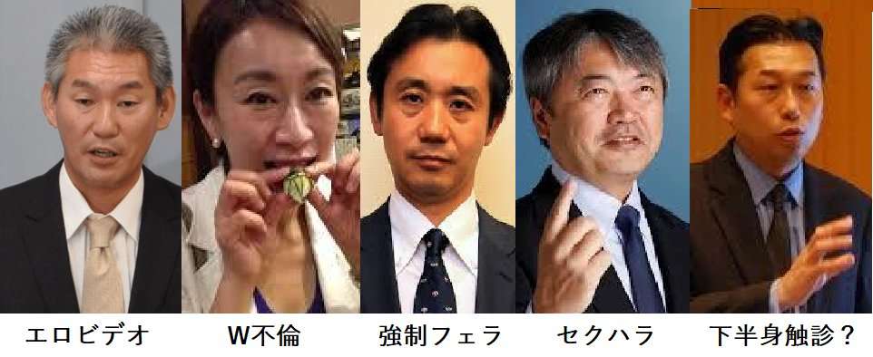 市議会の回線で浜松市議がアダルト動画を違法投稿