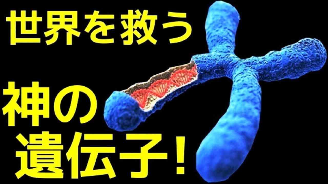 【衝撃】日本人だけが持つ最強の遺伝子「YAP」が凄すぎる！ - YouTube
