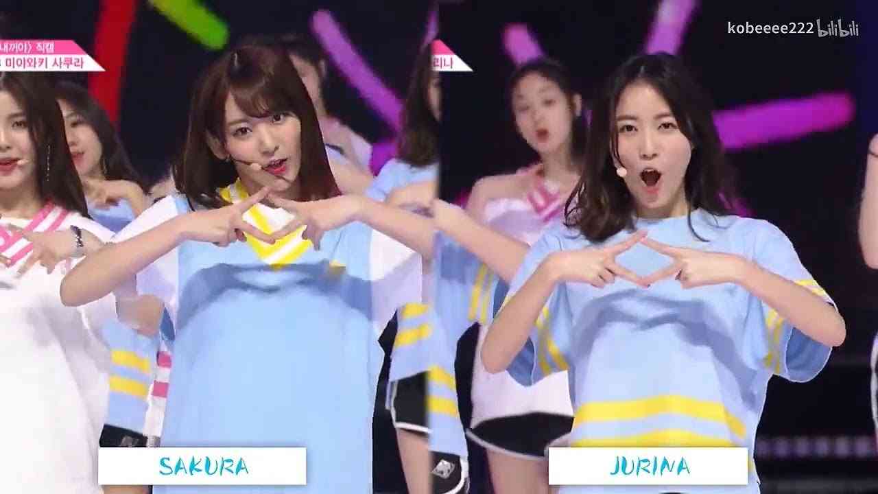 PD48 Miyawaki Sakura & Matsui Jurina Dance Comparison PRODUCE48 NEKKOYA 宮脇咲良 松井珠理奈 - YouTube