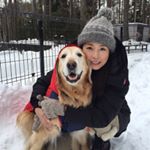 高橋ひとみ Hitomi Takahashi (@hitomi_momoe) • Instagram photos and videos
