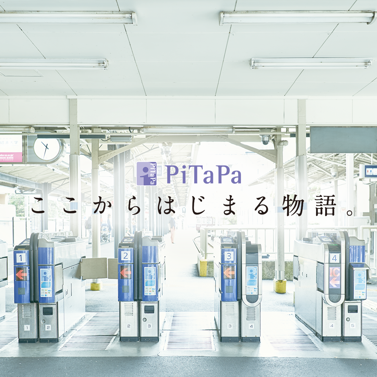 ここからはじまる物語。｜PiTaPa.com