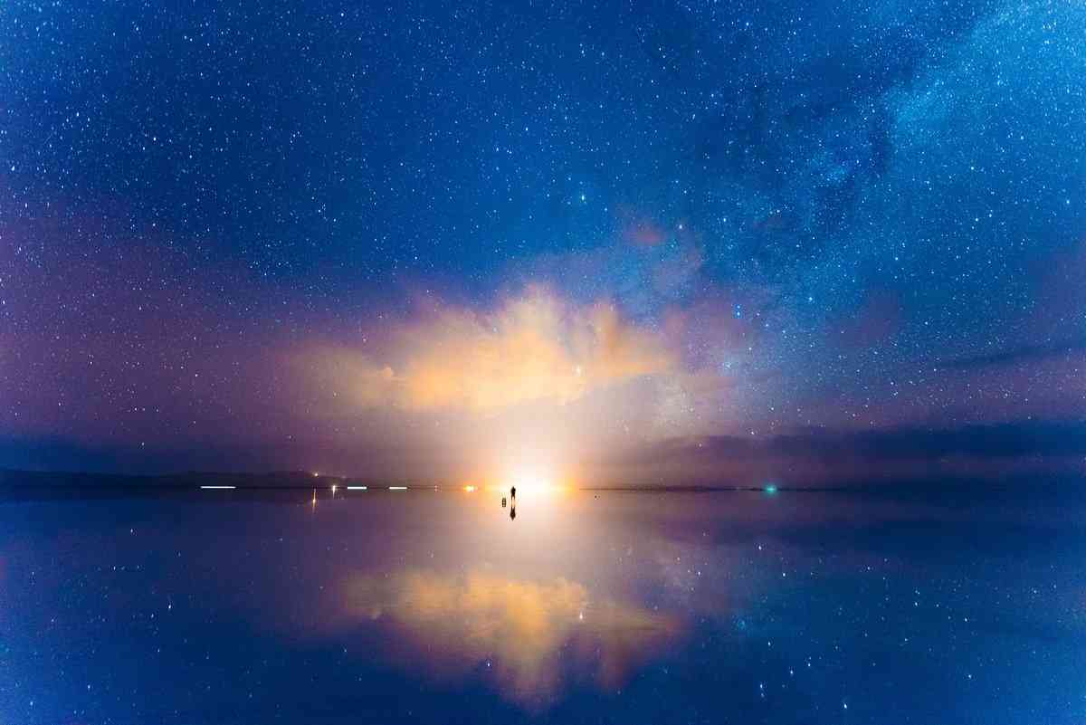 【画像】星のトピ