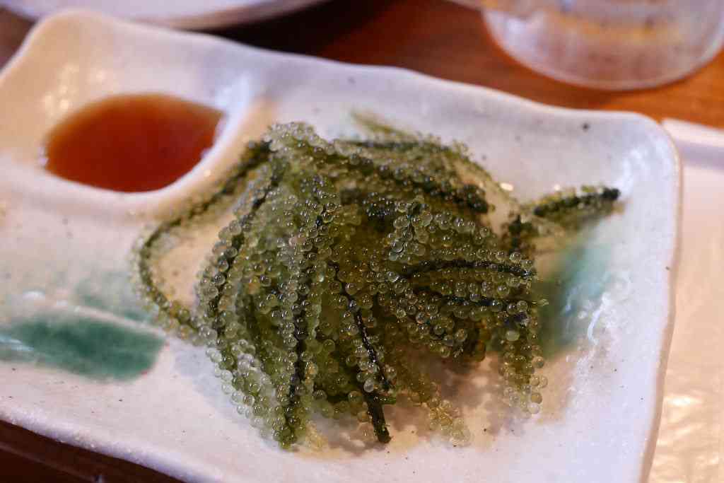 沖縄料理が好きな方語りましょう