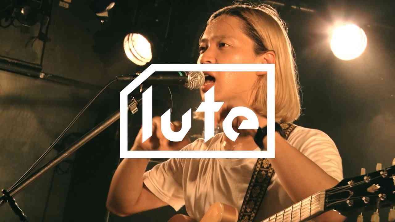 lute live : シャムキャッツ「すてねこ」 - YouTube