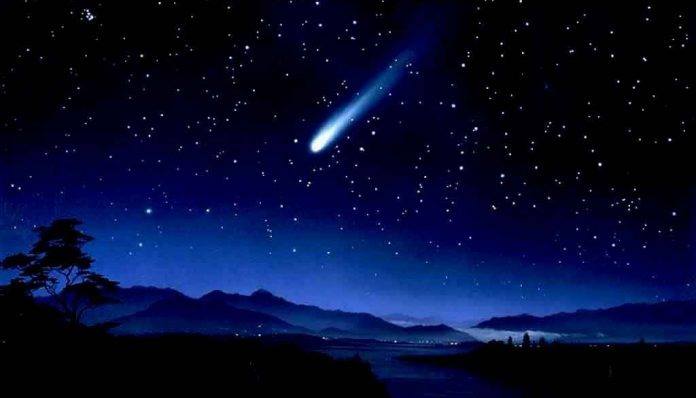 【画像】星のトピ