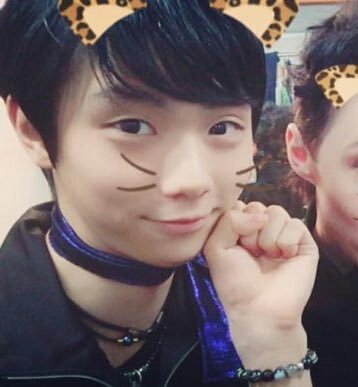 普段使う言葉はどっち?