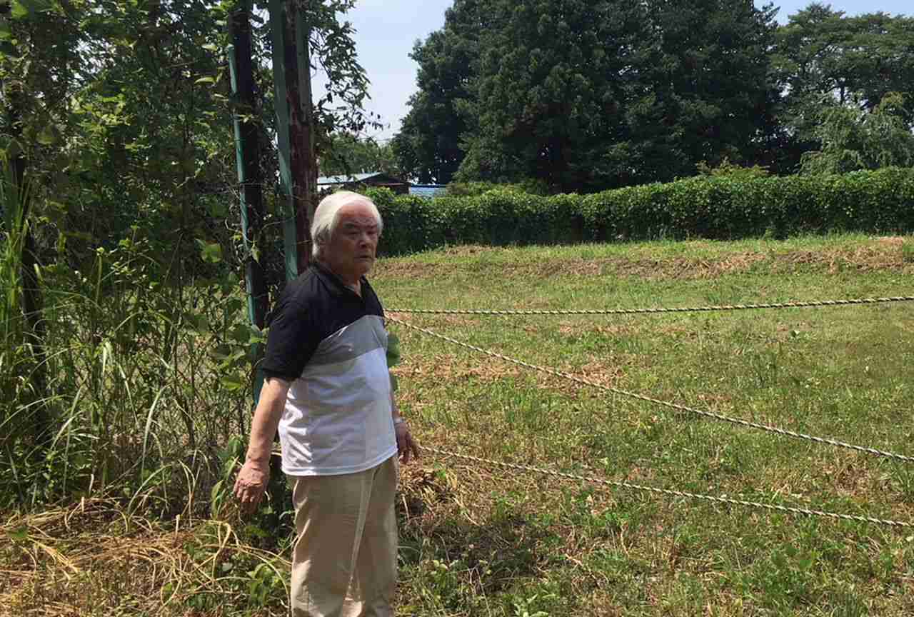 住民の反対むなしく進む「汚染土」再利用計画、放射能バラまきに待ったなし！？ | 週刊女性PRIME [シュージョプライム] | YOUのココロ刺激する
