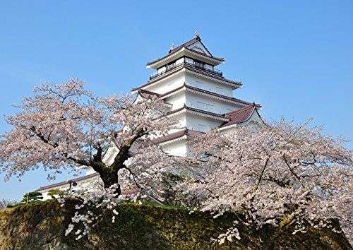 会津白虎隊が美化された理由。武士の階級維持の為に行われた会津戦争で苦しんだ農民 - NAVER まとめ