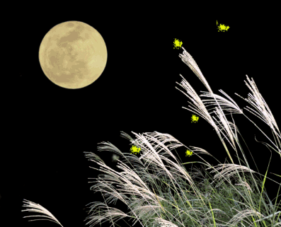 秋の夜長に雑談しませんか?