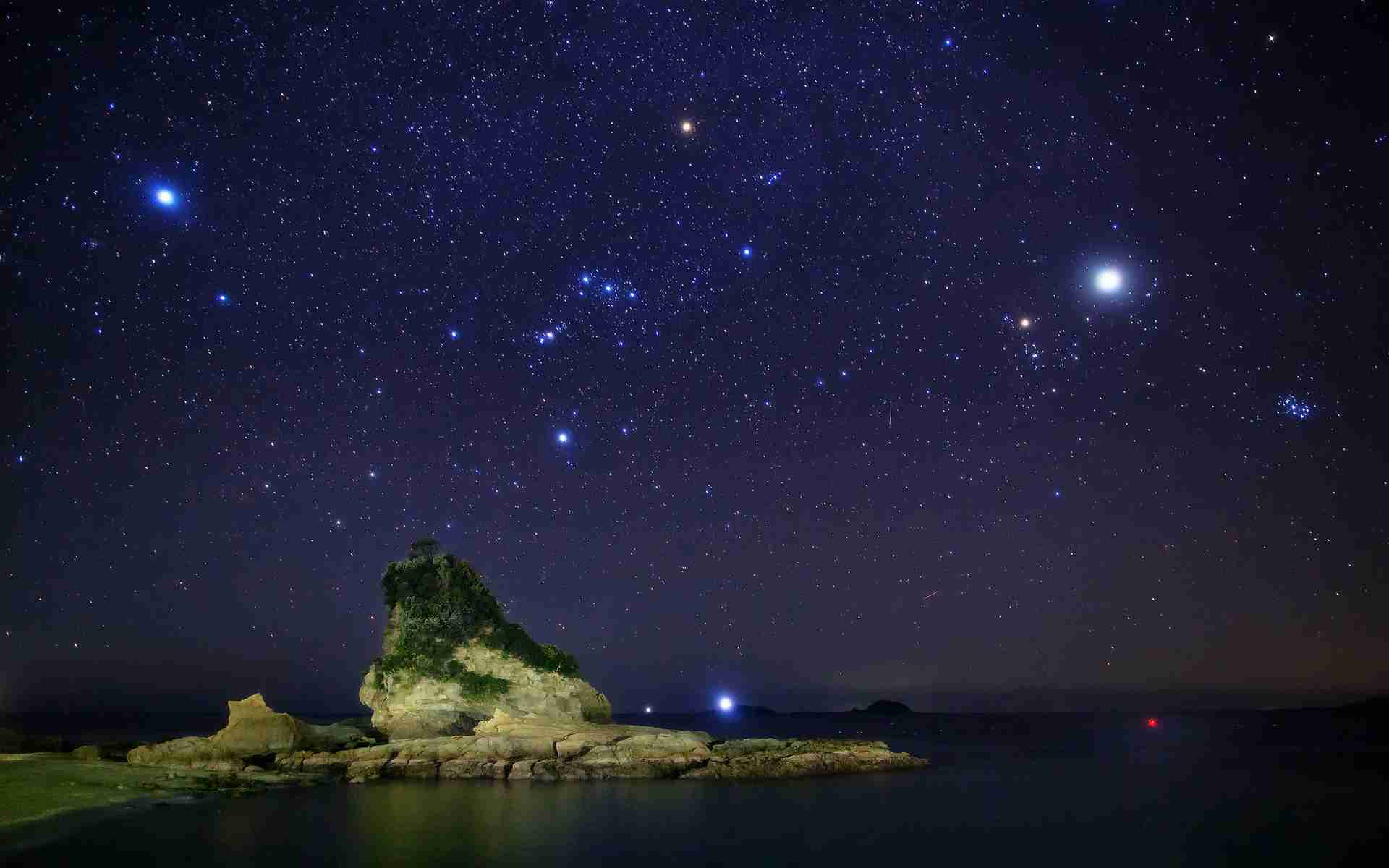 【画像】星のトピ