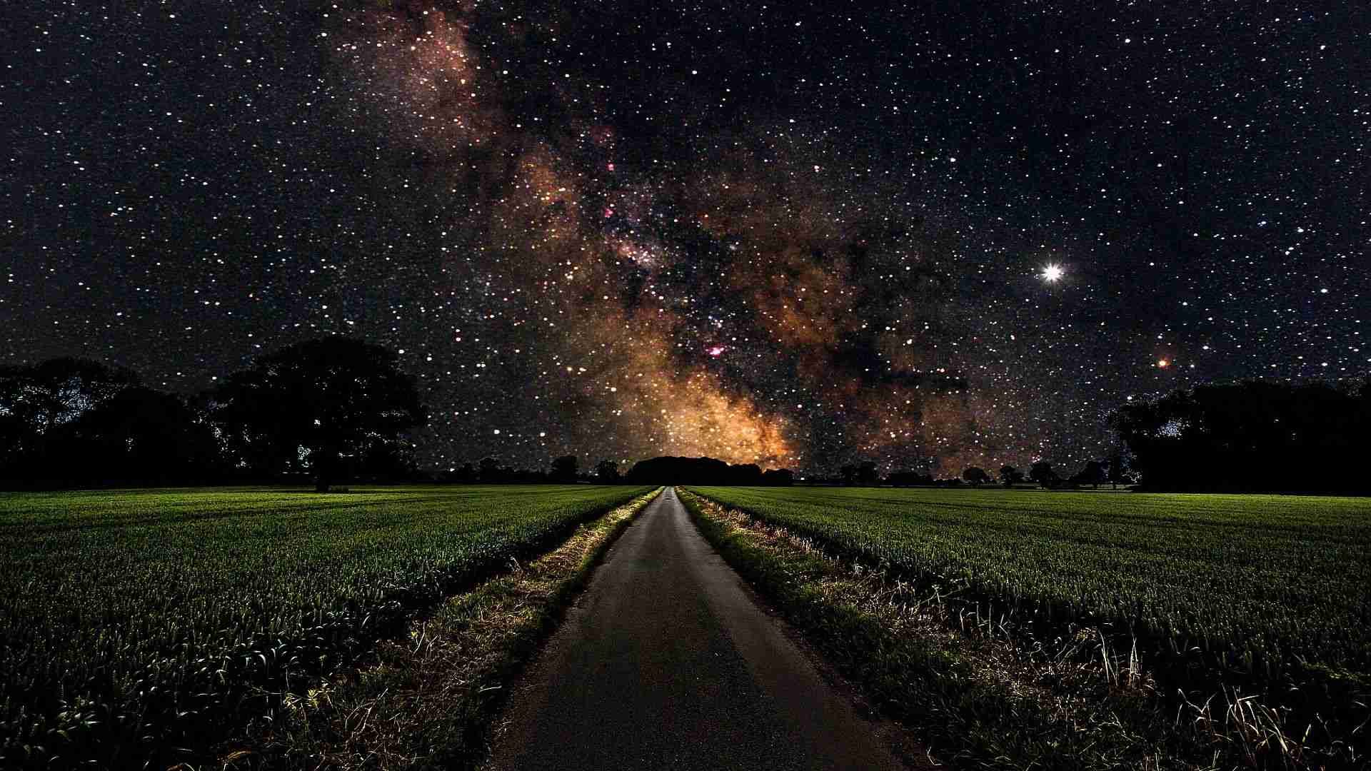 【画像】星のトピ