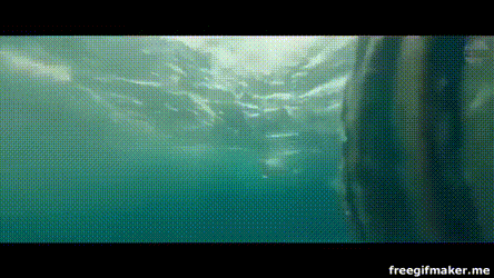DVDでorDVD化されたら観たい映画