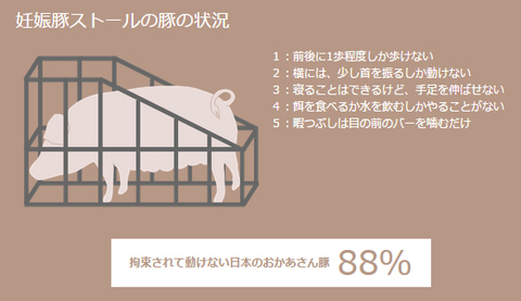なぜ世界のメダリストたちは東京五輪に「強烈抗議」したのか　日本人が知らない「食べ物ルール」