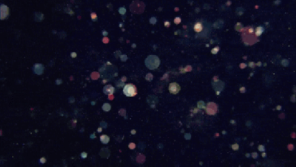 【画像】星のトピ