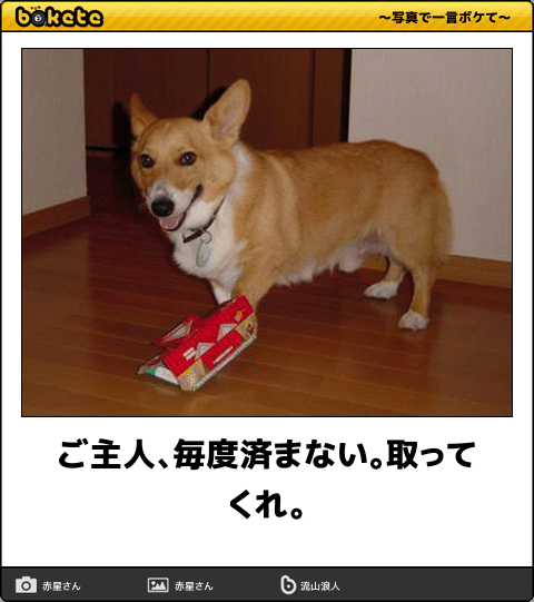 アホなミス選手権！part2