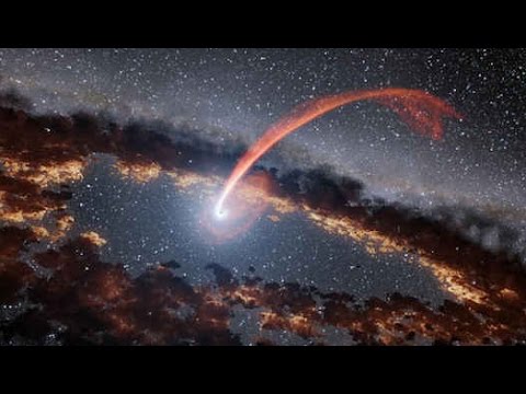 【画像】星のトピ