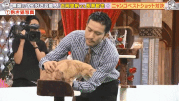 フォルダ内のイケメンGIF画像を解き放つトピ