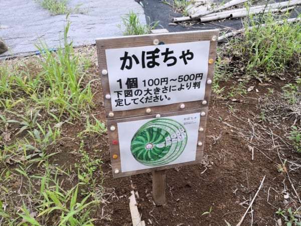 なすが1個10円と激安！　千葉県の『無人もぎとり菜園』が楽しすぎてスゴい